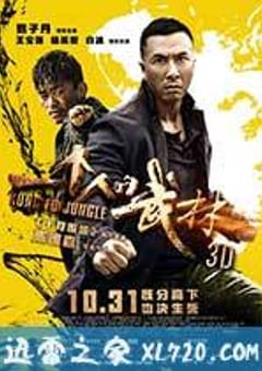 一个人的武林 (2014) 迅雷BT磁力免费下载