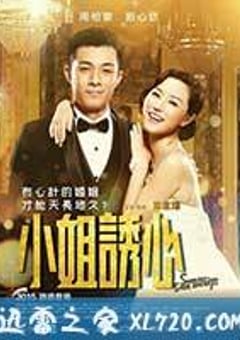 爱情攻略 小姐誘心 (2014) 迅雷BT磁力免费下载