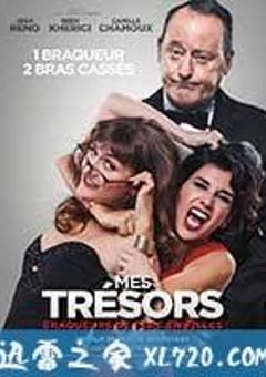 我的珍宝 Mes trésors (2017) 迅雷BT磁力免费下载