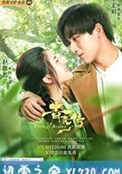 青囊传 (2019) 迅雷BT磁力免费下载