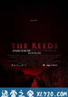 芦苇地 The Reeds (2009) 迅雷BT磁力免费下载