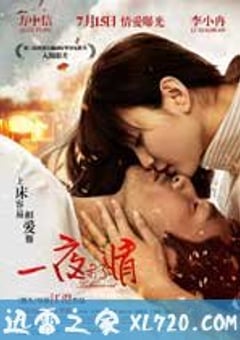 一夜未了情 (2011) 迅雷BT磁力免费下载