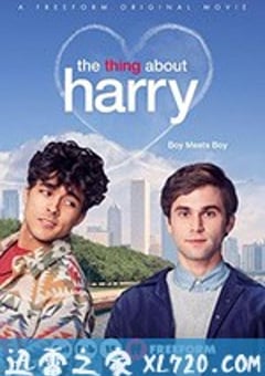 关于哈利的那些事 The Thing About Harry (2020) 迅雷BT磁力免费下载