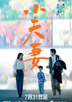 2024年国产大陆电视剧《小夫妻》连载至12 [迅雷BT磁力免费下载]
