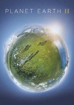 2016年美国电视剧《地球脉动 第二季》全6集 [迅雷BT磁力免费下载]