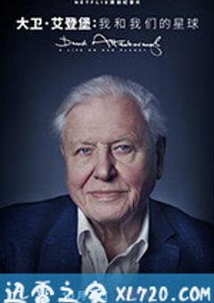 大卫·爱登堡：地球上的一段生命旅程 David Attenborough: A Life on Our Planet (2020) [迅雷BT磁力免费下载]