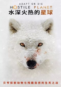 2019年美国纪录片《水深火热的星球》全6集 [迅雷BT磁力免费下载]